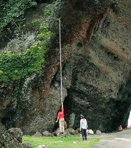 保種中心與台電合作進行復育，深入天池等森林步道、懸崖峭壁，採集原生蘭花的種子。（圖／台電提供）