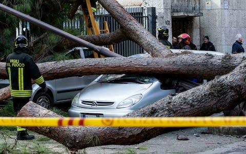 A car crushed by a fallen pine tree in Rome in February 2019 after the capital was hit by storms - Credit: Massimo Percossi/Ansa