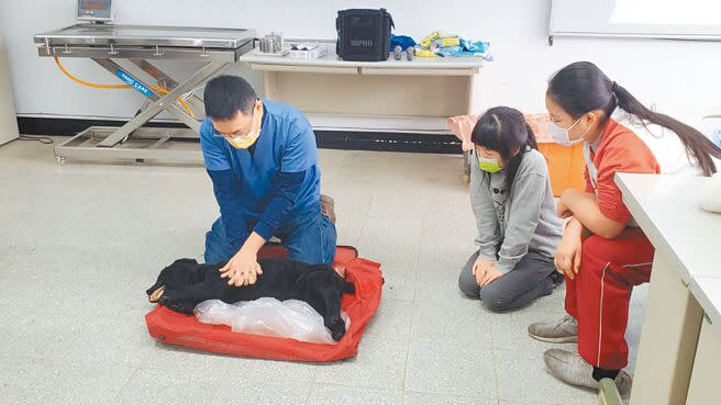 桃園市國中小學生在「我是小獸醫」技藝營，學習照護寵物及觀察寵物疾病。（呂筱蟬攝）
