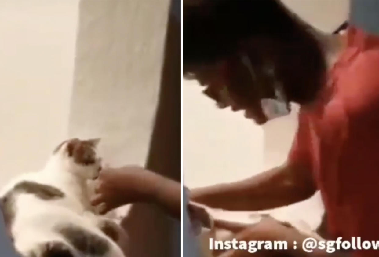 A man was captured on video forcing a lit cigarette into a cat’s mouth. (SCREENCAPS: adminsgfollowsalll/Instagram)