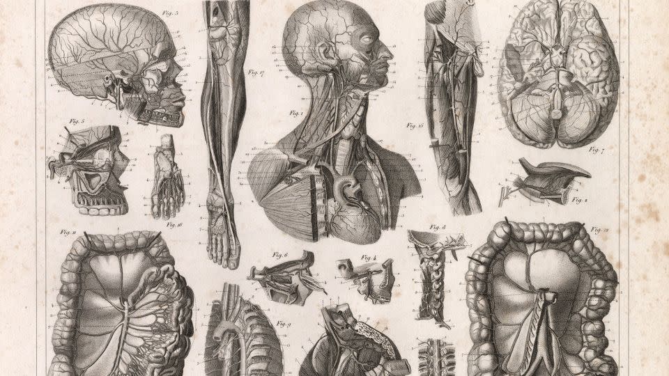 Detailed drawings from the German publisher and illustrator Johann Georg Heck's 1849 work "Bilder - Atlas zum Conversations — Lexicon." - Johann Georg Heck/David Rumsey Map Collection/David Rumsey Map Center/Stanford Libraries