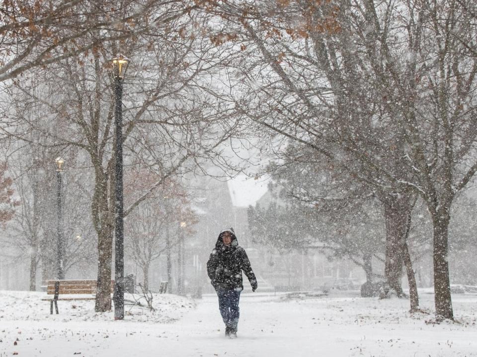 A person walks in a park during morning flurries in Kingston, Ont., on Wednesday Dec. 8, 2021. (Lars Hagberg/The Canadian Press - image credit)