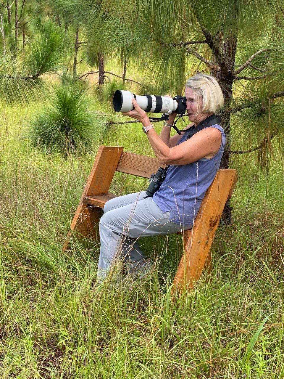 Wildlife photographer Alison Smith focuses on a butterfly in a longleaf pine forest while resting on a Leopold bench at Salleyland.