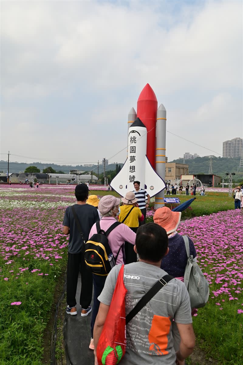 來一場浪漫的花之宇宙奇幻冒險！（圖／翻攝自桃園花彩節臉書）