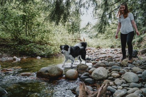 Petcurean released its third annual Sustainability Impact Report highlighting new environmental achievements and continued commitment to sustainability leadership.  (Photo: Petcurean)