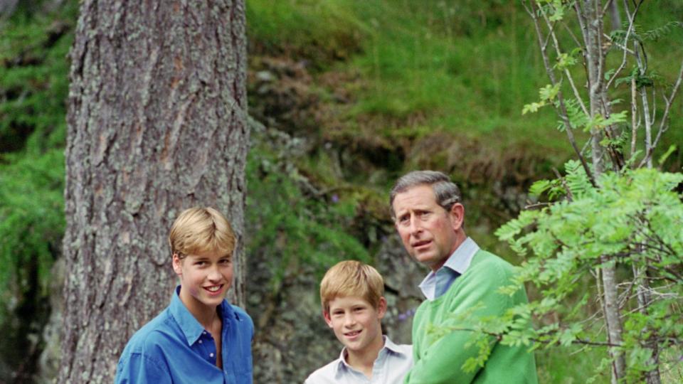 prince charles, prince of wales with his sons, prince willia