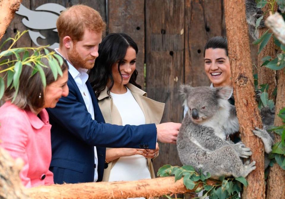 Meghan Markle and Prince Harry at the Taronga Zoo