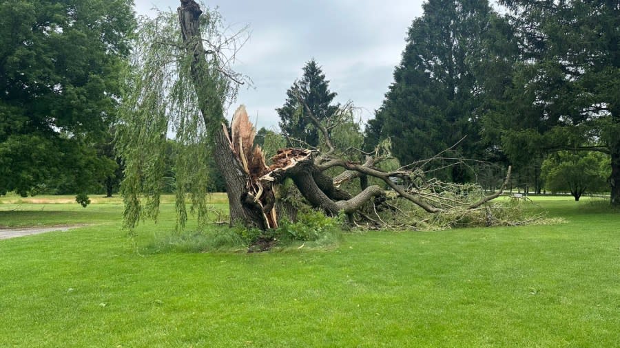 Storm damage at Bent Pine Golf Club in Fruitland Township on June 25, 2024.