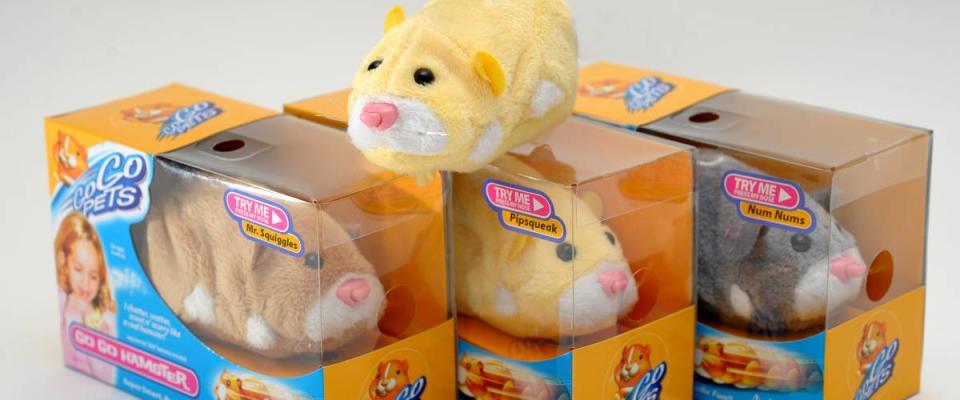 Zhu Zhu Hamsters in small boxes