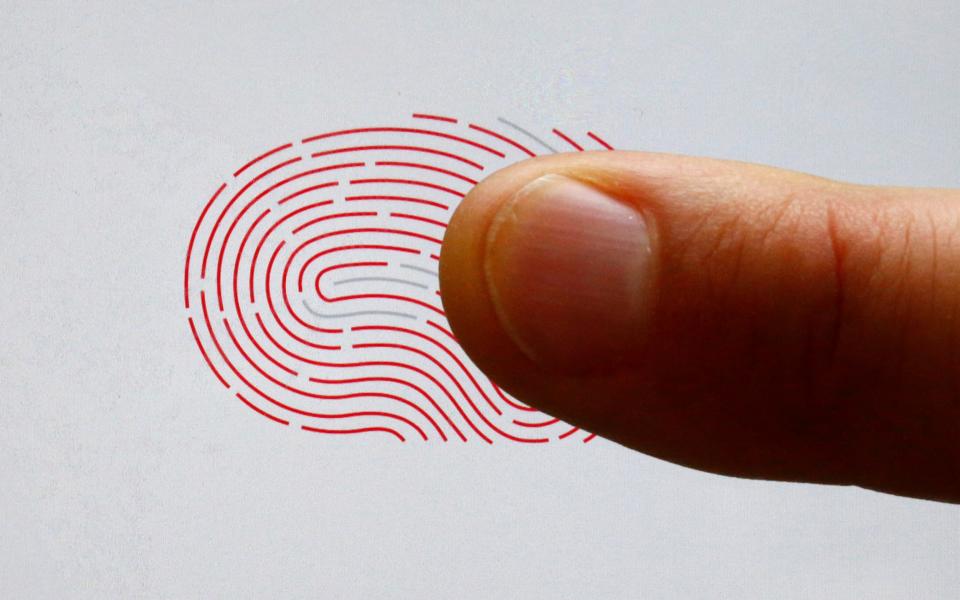 Fingerprint technology could be coming to a supermarket near you - REUTERS