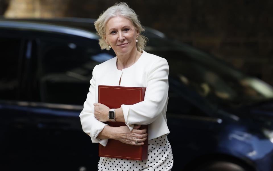 Nadine Dorries, the former culture secretary, is pictured in Downing Street in July 2022 - Tolga Akmen /Shutterstock 