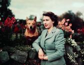 <p>Elizabeth poses with her dog in the garden.</p>