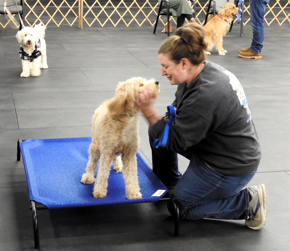 Ashton Metheny works with a dog during a recent training class part of Ashton's K-9 Classes. She does group courses and one-on-one sessions focused on basic training and breaking any developed bad habits.