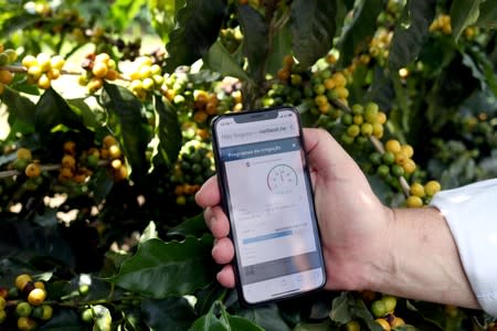 A farmer shows an irrigation management system app on his mobile phone at a coffee plantation in Sao Sebastiao do Paraiso