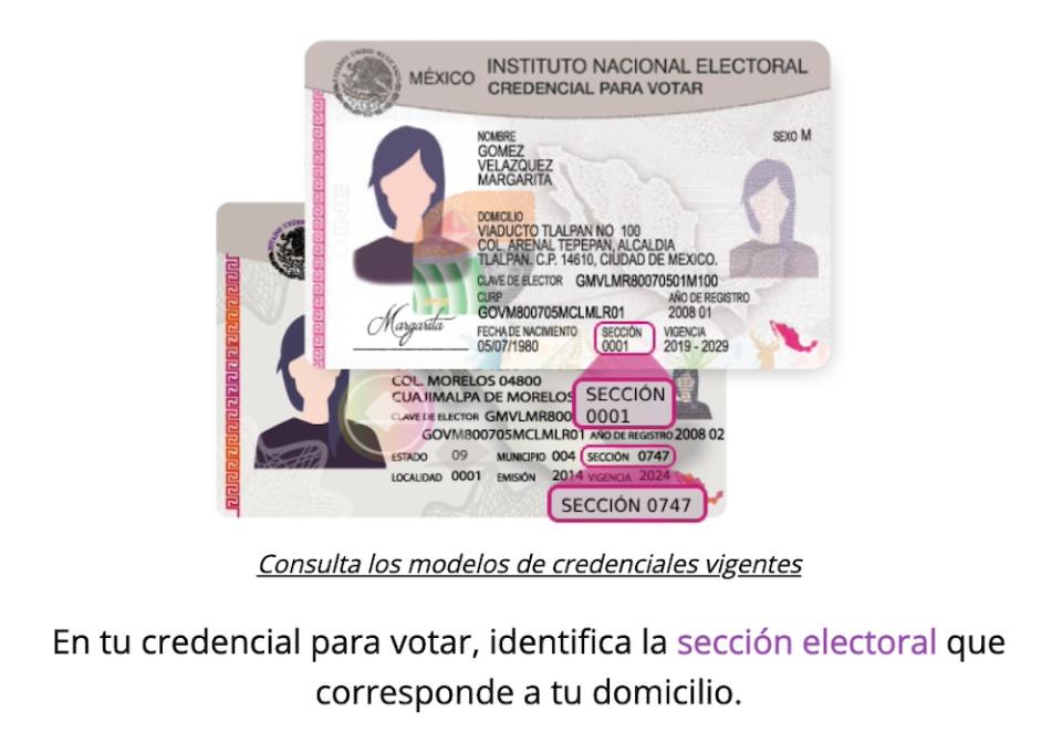 sección electoral Business Insider México Cortesía