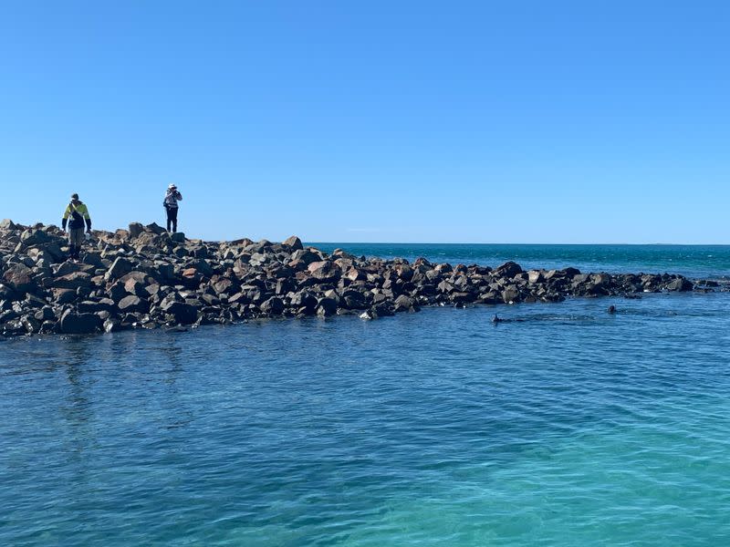 Divers from Deep History of Sea Country search for artefacts off Dampier Archipelago in Western Australia