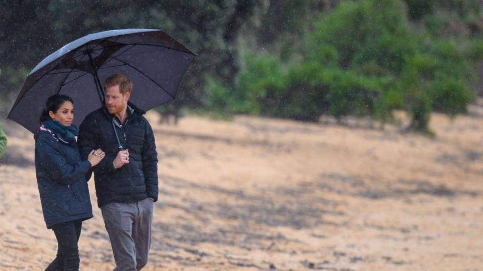 Prince Harry, Duke of Sussex and Meghan, Duchess of Sussex visit Abel Tasman National Park, which sits at the north-Eastern tip of the South Island, to visit some of the conservation initiatives managed by the Department of Conservation on October 29, 2018 in Wellington, New Zealand. The Duke and Duchess of Sussex are on their official 16-day Autumn tour visiting cities in Australia, Fiji, Tonga and New Zealand. (Photo by Pool/Samir Hussein/WireImage)