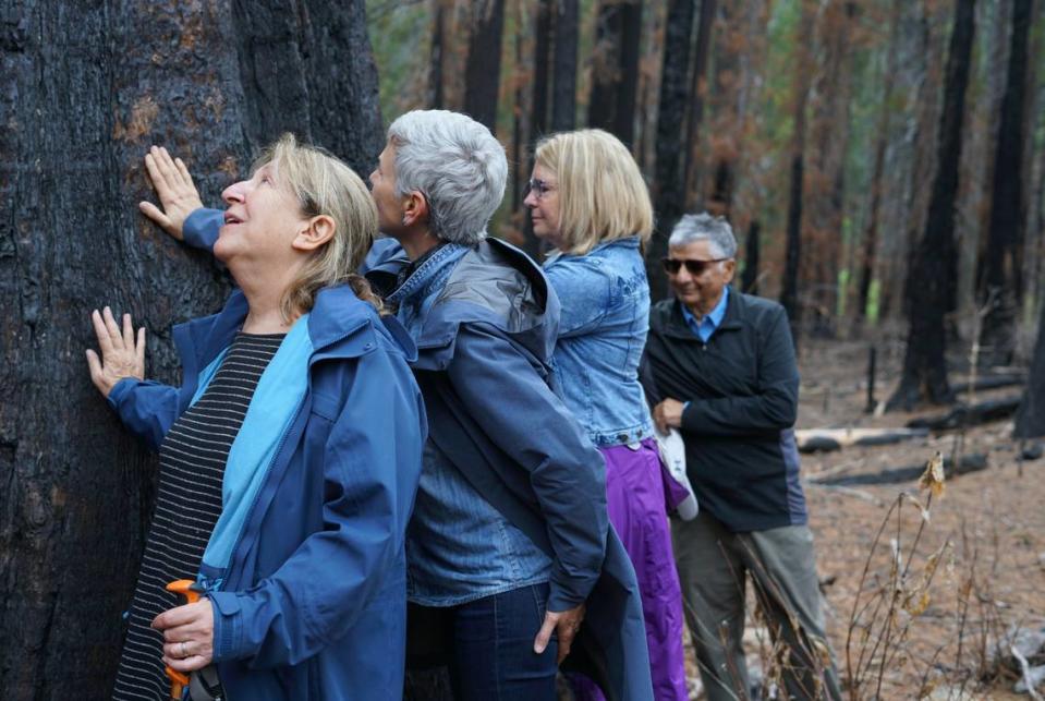 Sally Kaplan, left, Desiree Amor, Nancy Tanner and Sunil Mehrotra prayed for The Orphans survival at Calaveras Big Trees State Park Sunday, June 11, 2023. Dominique Williams/The Modesto Bee