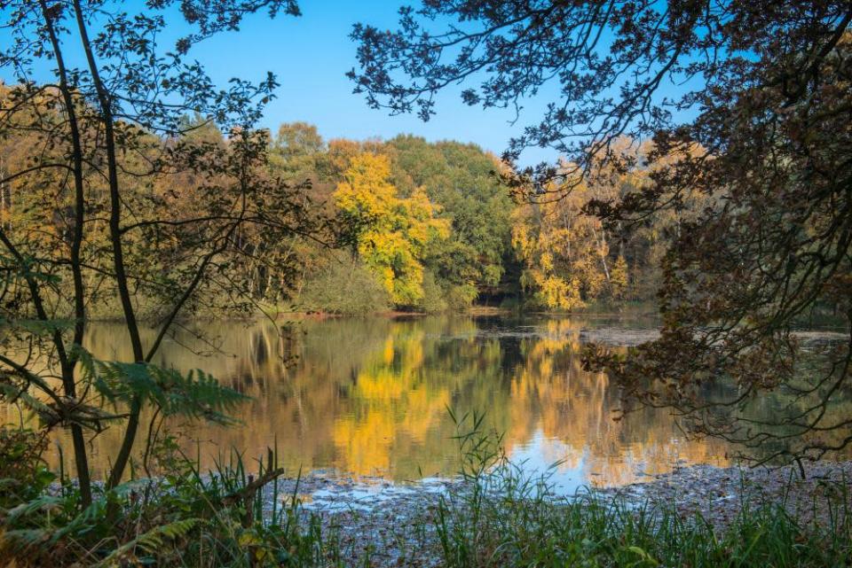 Un pequeño lago rodeado de árboles en el follaje de otoño