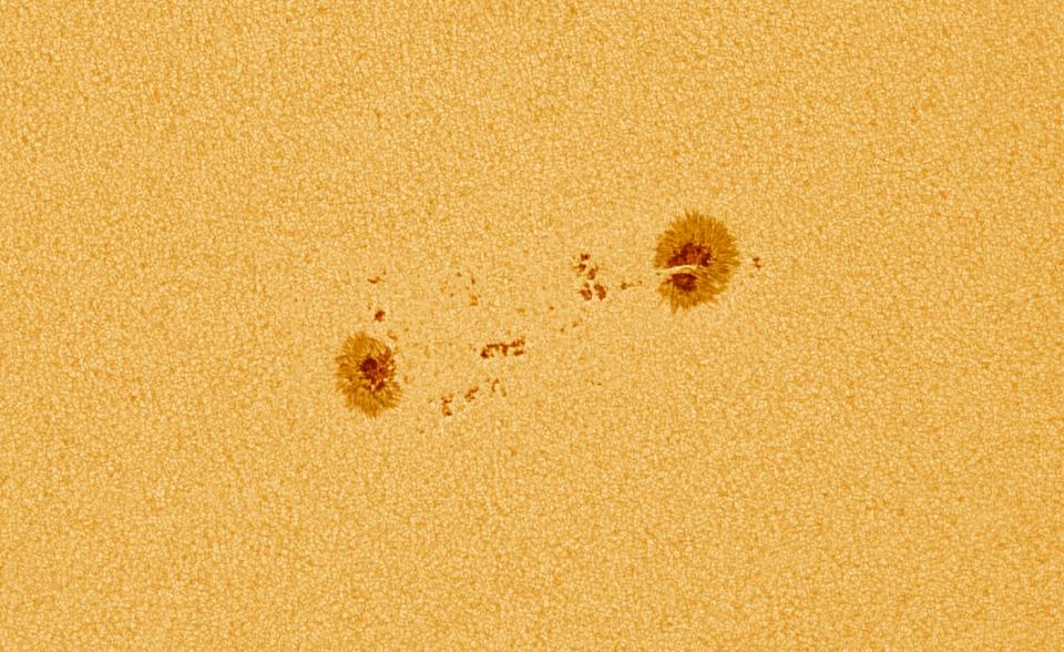 AR12699 Sunspot