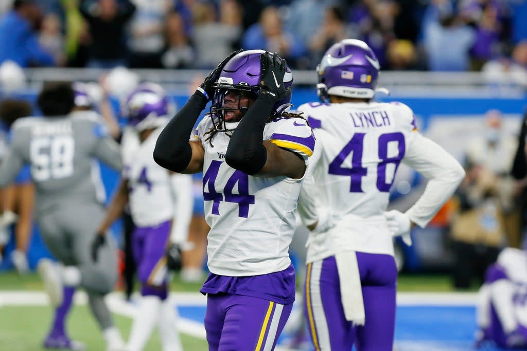 STEELERS-VIKINGS (AP)