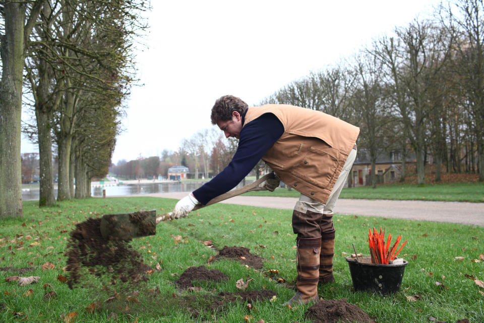 Molecatcher Jerome Dormion uses a shovel in the park of the Chateau de Versailles, west of Paris, Thursday, Nov. 22, 2012. The king is dead, but the molecatcher lives on. He even signs SMS messages: “Molecatcher to the king.” It’s been over two centuries since Louis XVI was guillotined on Paris’ Place de la Concorde, but the job of hunting the underground rodent that so troubled French monarchs on the grounds of the Versailles palace still exists. (AP Photo/Thibault Camus)