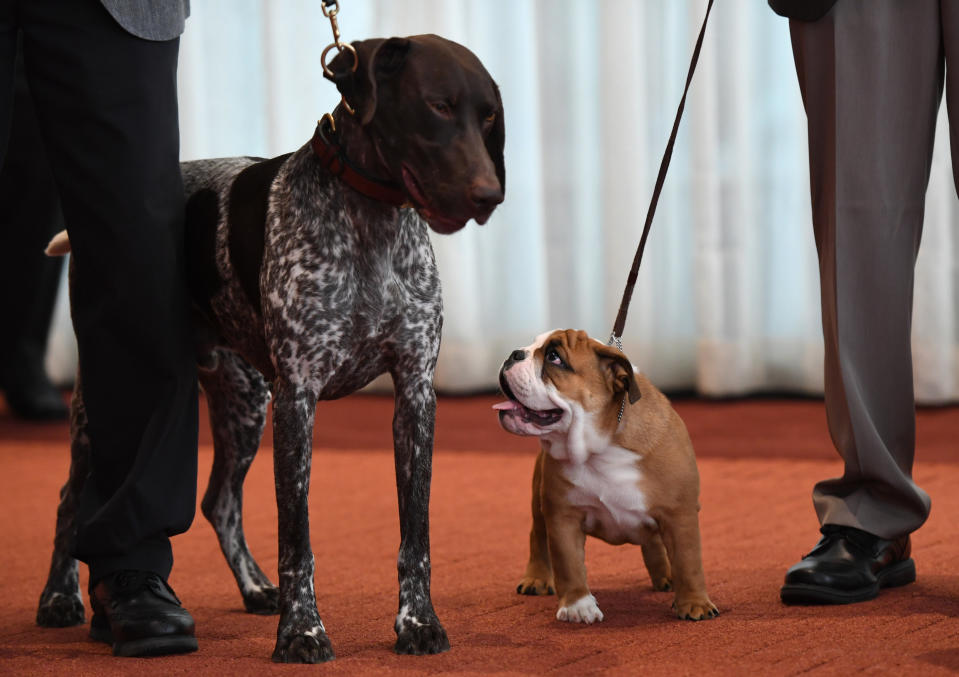 (DON EMMERT/AFP via Getty Images)