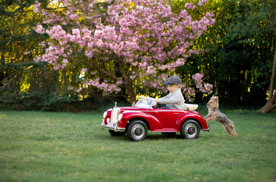 Noch schiebt der Hund das Auto, der Rollenwechsel kommt... (Bild: Caters)