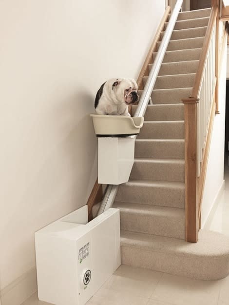 Dog stairlift