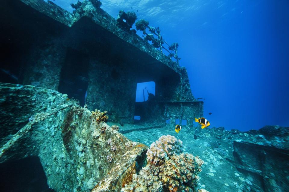 15 Mesmerizing Photos of Underwater Shipwrecks