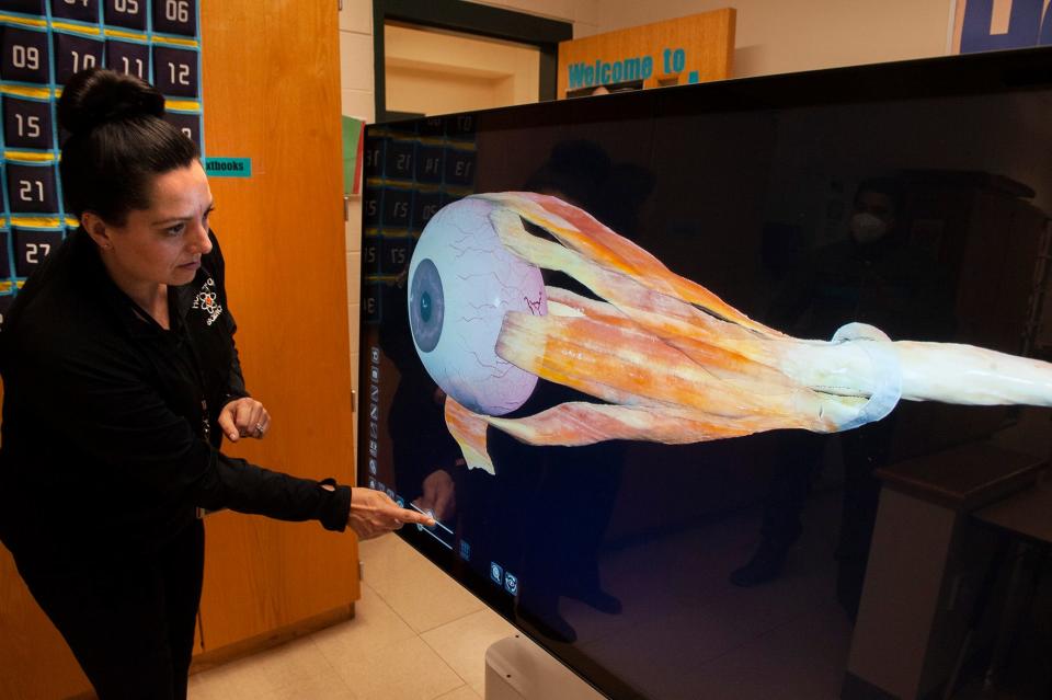 Bethany Spinks, a forensics and AP biology teacher at Hopkinton High School, zooms in on an eye on the school's new Anatomage Table.