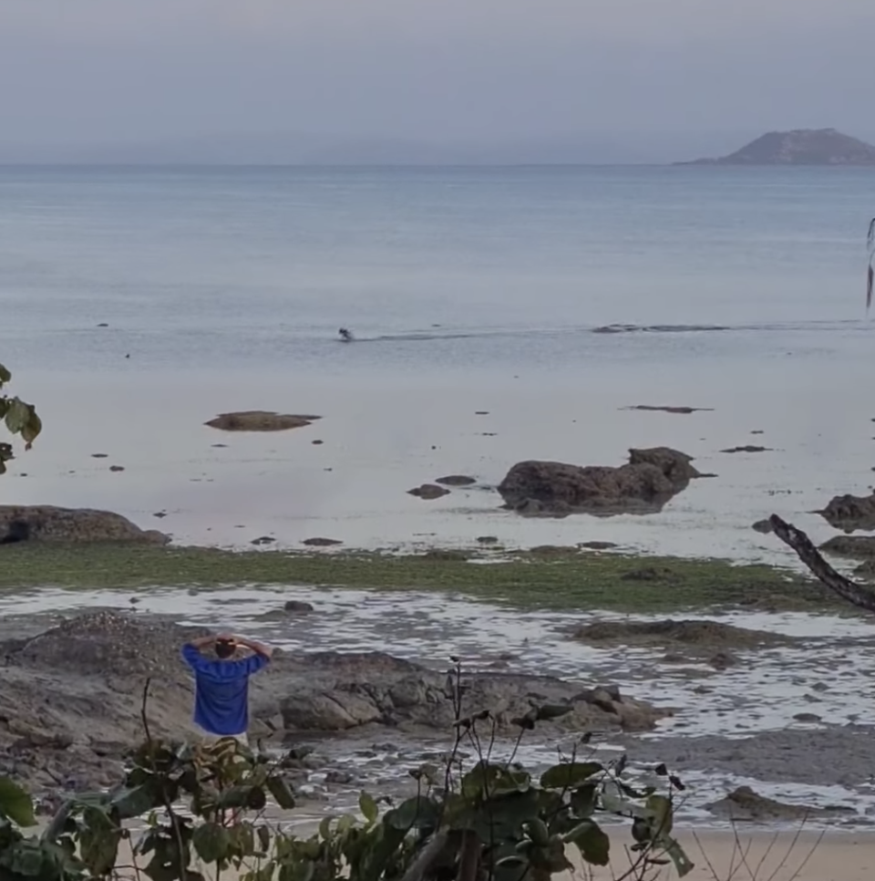 The dog shown bounding through the water away from the crocodile. Source: Facebook/Han and Her Four Men