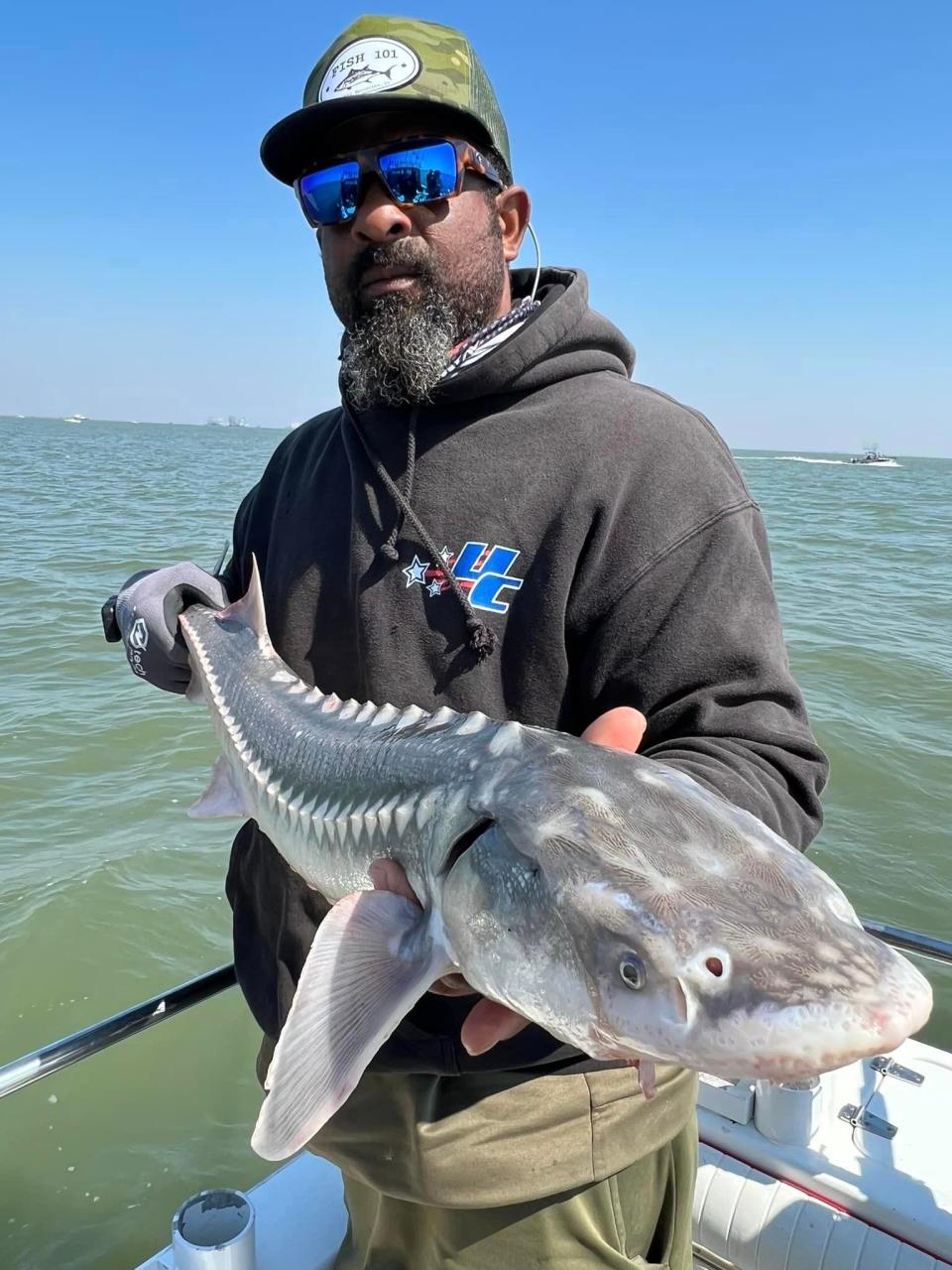 Jason Johnson of Vallejo, AKA “gurptheangler,” holds up a white sturgeon that he caught and released while fishing with Captain Steven Mitchell in Suisun Bay on September 23. Johnson is an expert on bank fishing for sturgeon.