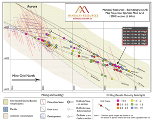 East-West cross-section of area showing the divergence of Marble and Björkdal Shear. Intercepts above 0.5 g/t Au when diluted to 1 m are denoted by dots. Drillholes are annotated with composites over 2.0 g/t Au when diluted to 1 m.