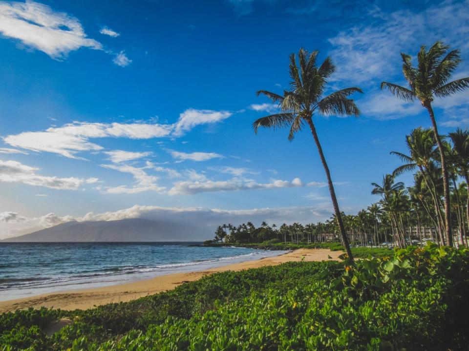 Wailea Beach is a premium location with luxury resorts (Getty Images/iStockphoto)
