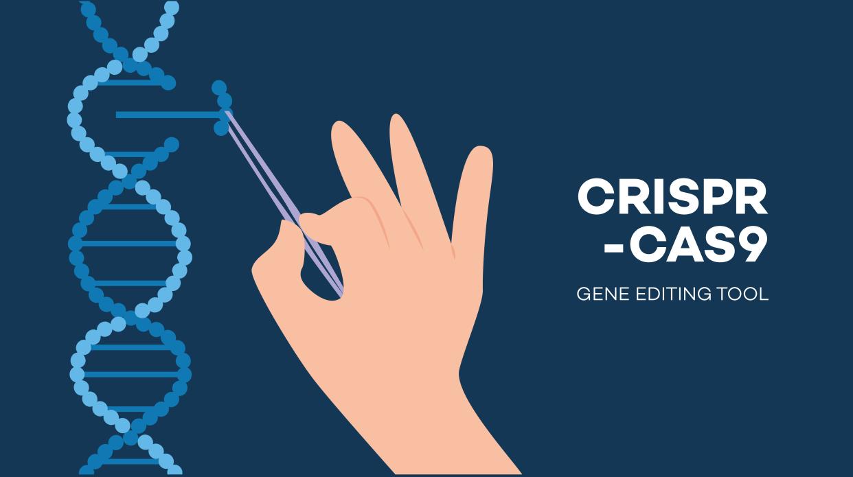 Prime Editing, una nueva herramienta de edición genética mejora las capacidades de CRISPR