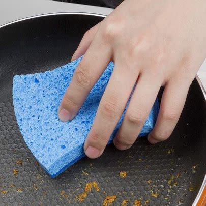 Sponges don't always completely rid items of dirt and bacteria, so the key is to throw them away every two to four weeks