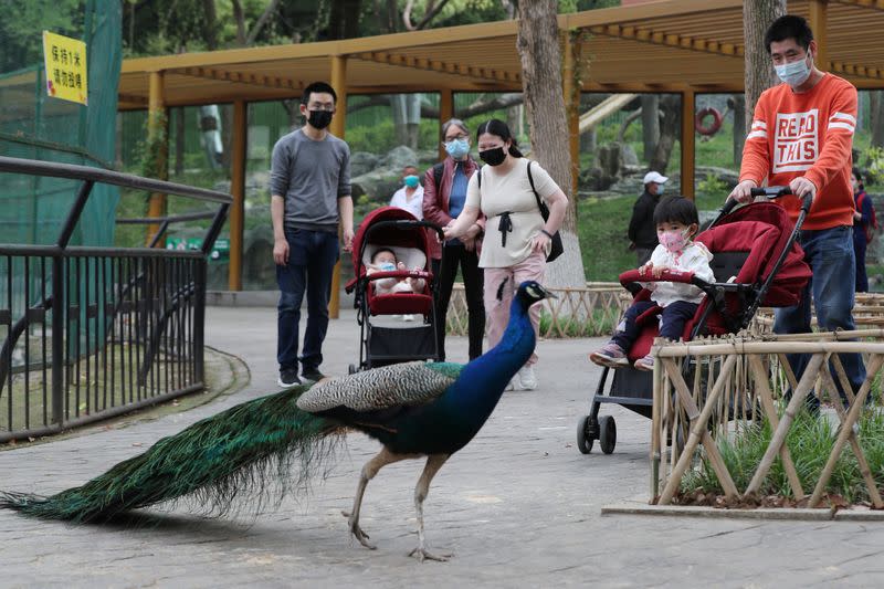 Imagen de archivo de varias personas con mascarillas en el Zoo de Wuhan, China.