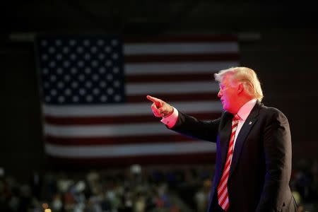 Republican presidential nominee Donald Trump is illuminated by a spotlight as he points to supporters in the crowd after speaking at a campaign rally in Pensacola, Florida, U.S., September 9, 2016. REUTERS/Mike Segar