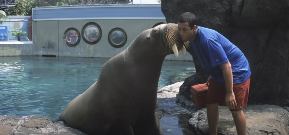 Adam Sandler in "50 First Dates"