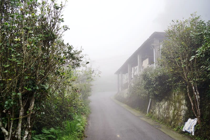 嘉義阿里山｜奮起湖老街