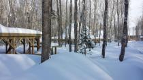 Treetop getaway: Geodesic domes coming to P.E.I.