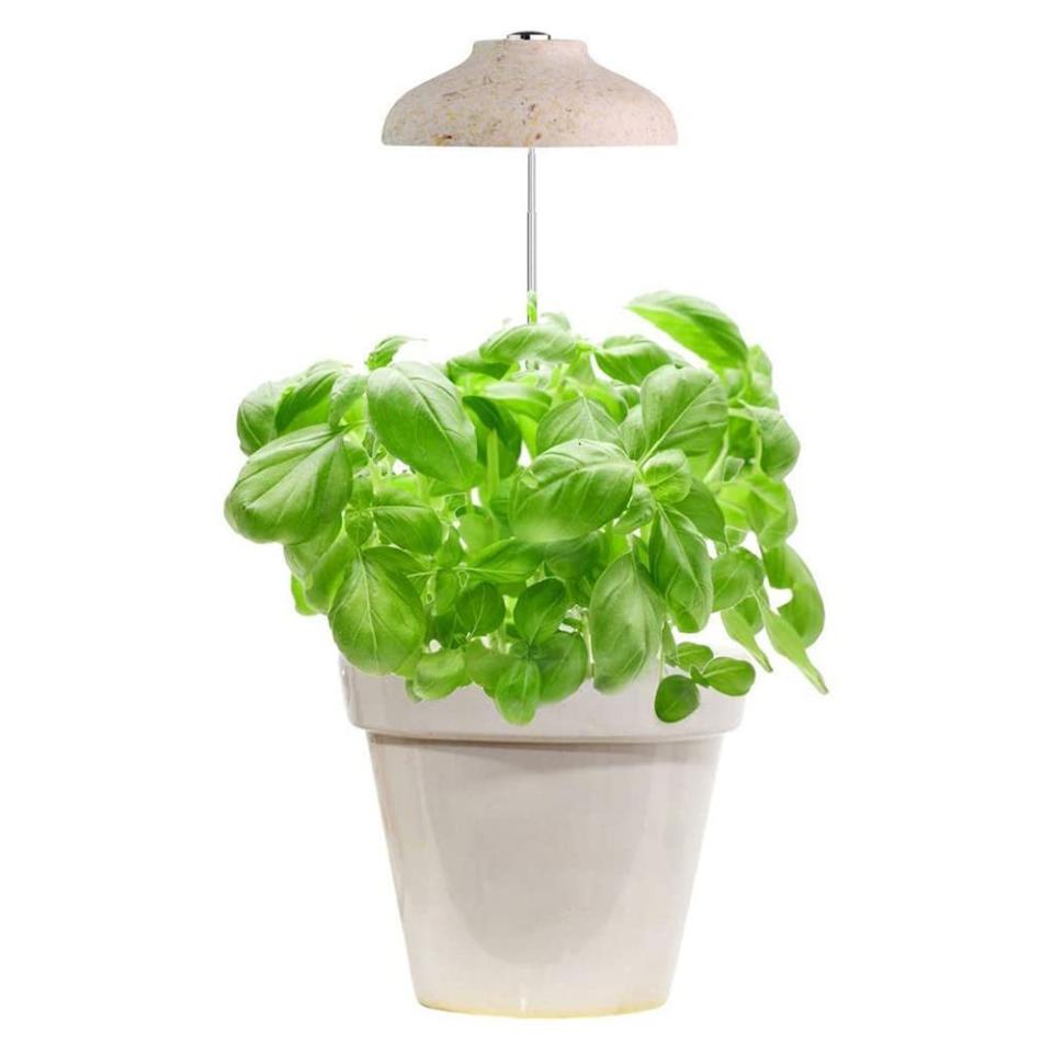 15) GrowLED Umbrella Indoor Herb Garden