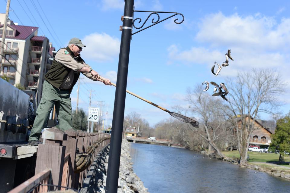 Fountain City Lake is stocked with 350 trout every month for three months in the winter.