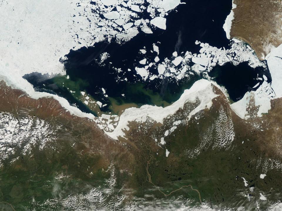 A satellite photo of the Arctic coast, showing a river and sea ice breaking up.