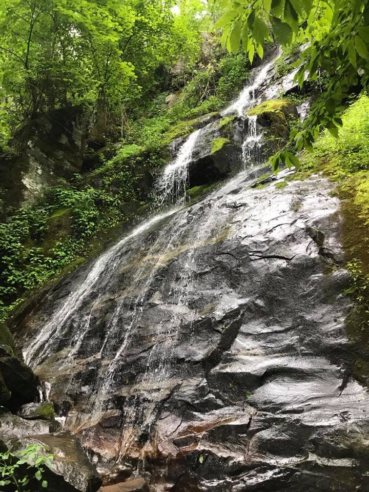 Hen Wallow Falls tumbles 90 feet from top to bottom, making it ten feet taller than the more popular — and typically much more crowded — Laurel Falls. The Gateway Stewards program encourages businesses to suggest that visitors seek out less congested destinations like this one located in the Cosby area when visiting the Smokies.