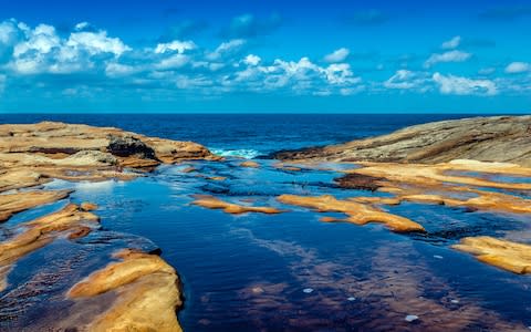 There are over 15,000 hectares of rainforest gullies, bushwalking trails, secret beaches, dramatic cliff tops and rock pools in The Royal National Park - Credit: © Peter Pesta/Peter Pesta Photography