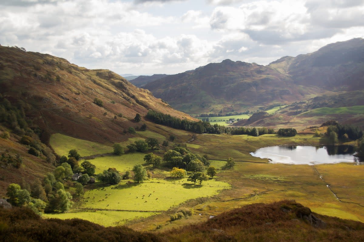 The Lake District is home to staggeringly beautiful countryside (Getty Images/iStockphoto)