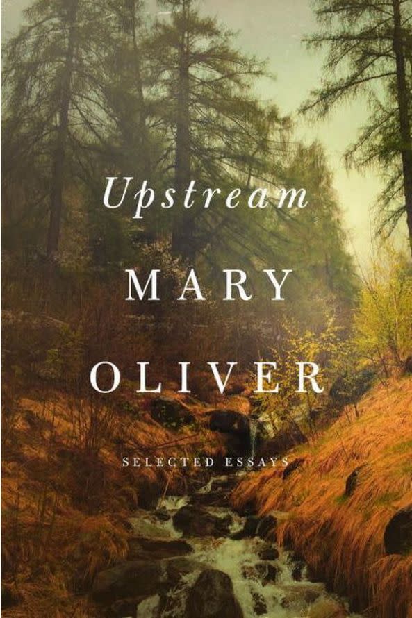 Upstream by Mary Oliver