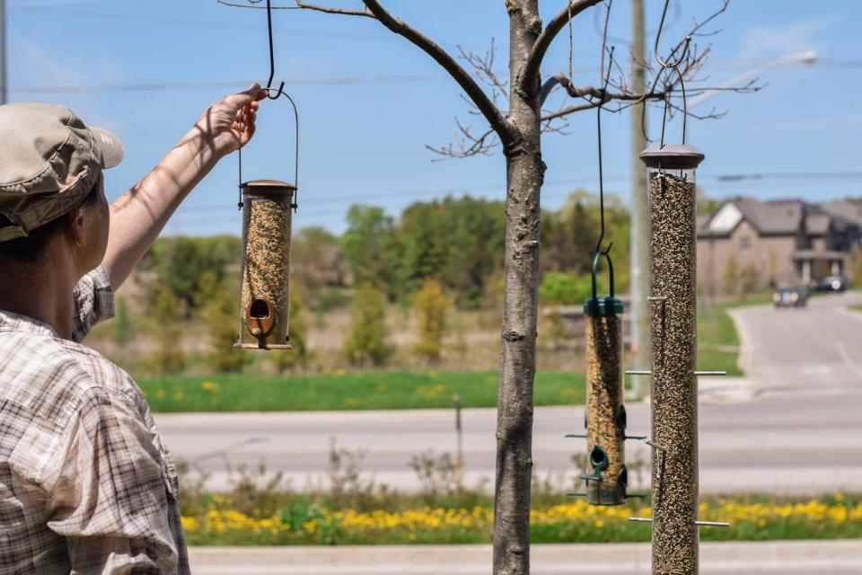 Woman hanging bird feeders on tree branches in suburban neighbourhood